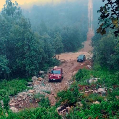 Caba�a Selva Chiapas