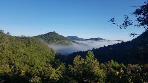Caba�a Selva Chiapas