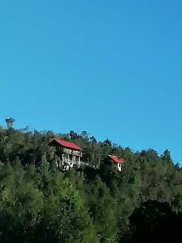Caba�a Selva Chiapas