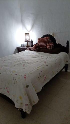 Casa Geo