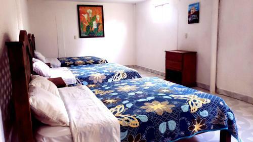 Hotel Panda Viajero