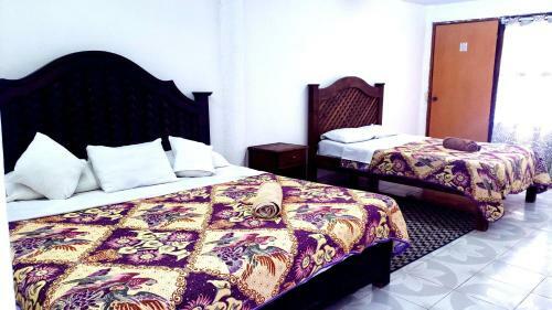 Hotel Panda Viajero