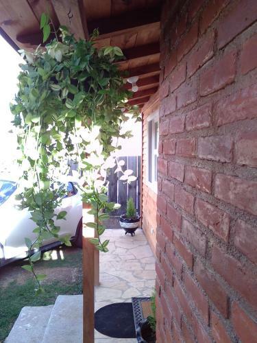 Cabain Full Service Huitepec