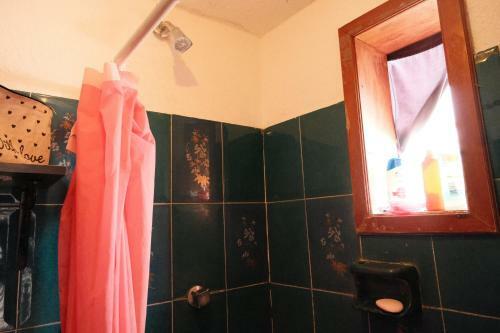 Eleva Vegan Hostel