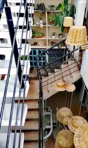 Casa Cielo Maya