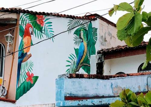 Bed & Breakfast My Local Home Vallarta