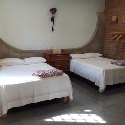 Apartamento Loft Con Jard�n 1