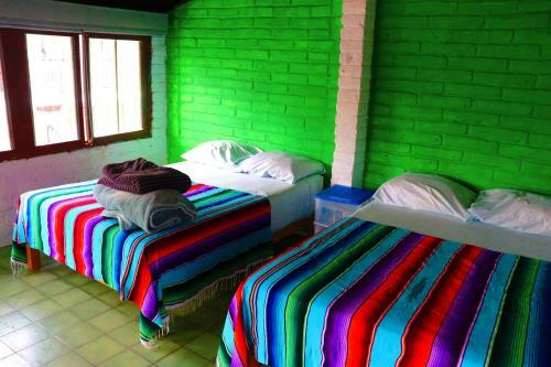 Albergue Hostal Casa Frida Pv