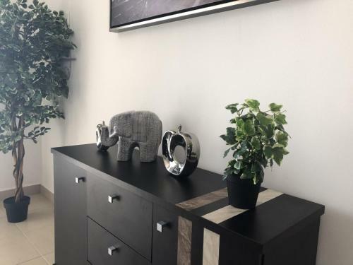 Playa Suites Apartment