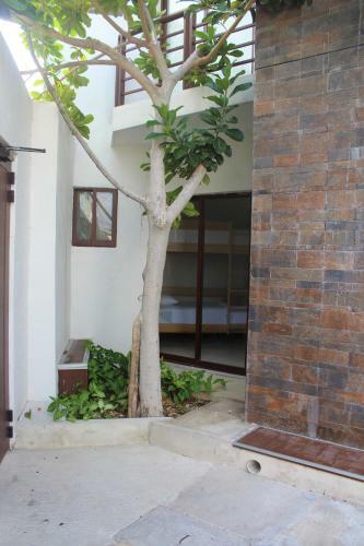 Apartamento Opis Haus
