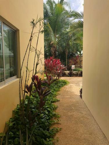 Apartamento Carey Suites