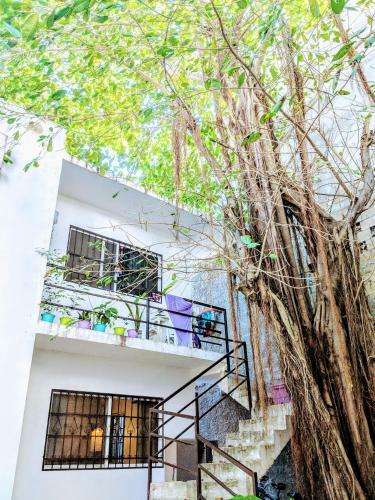 Rare Downtown Private Apartment Walk To 5th And The Ocean