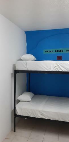 Hostal Hostel 6/15