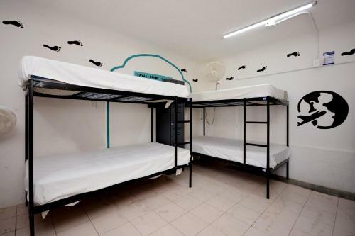 Hostal Hostel 6/15