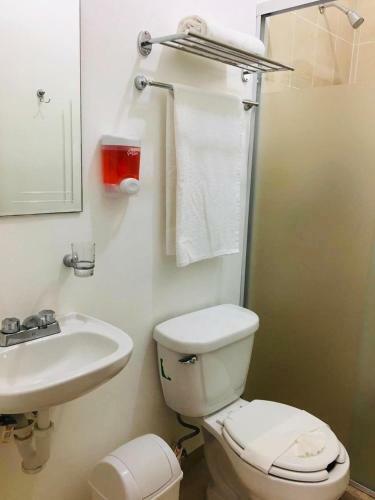 Apartamento Real Ibiza Plus By Hotel Colibri Creel