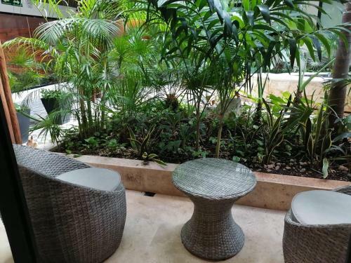 Apartamento The Shore Studio1