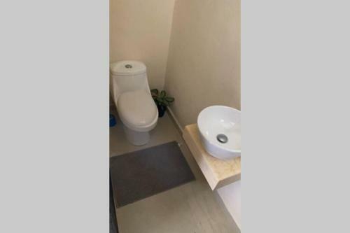 Casa Veronica, Tu Hogar Sanitizado