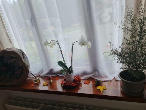 Hostal Pension Barlida
