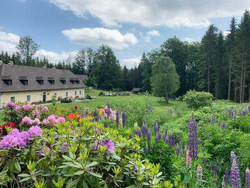 Villa Das Forsthaus Langschl�gerwald
