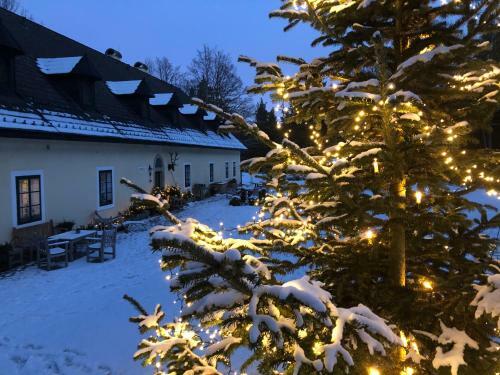 Villa Das Forsthaus Langschl�gerwald