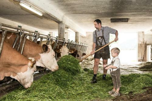 Agroturismo Lassingbauer