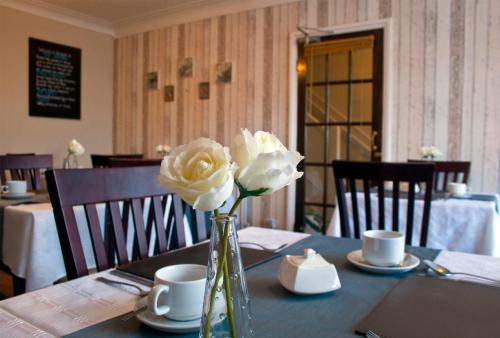 Hostal The Ivernia