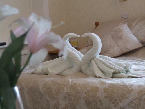 Hostal Knighton Lodge