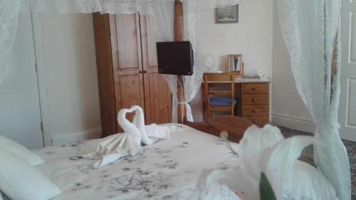 Hostal Knighton Lodge