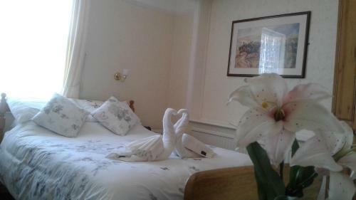 Hostal Knighton Lodge