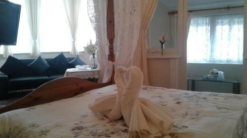 Hostal Knighton Lodge