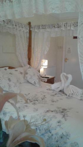 Hostal Knighton Lodge