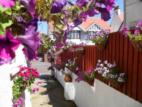 Hostal The Florida Guest House