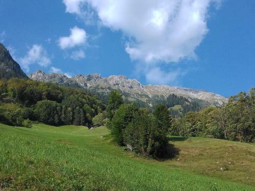 Tolles Einfamilienhaus Nahe Dem Bodensee