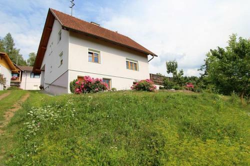 Apartamento Fewo Pl�sch Vlg. Maierhofer