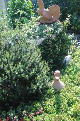 Bed & Breakfast G�stehaus Christa ****