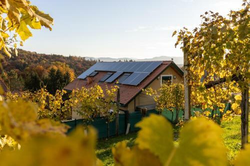Weinberghaus Am Burgstallkogel