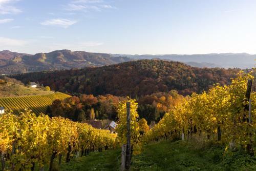Weinberghaus Am Burgstallkogel