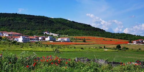Villa Poesia, Harmony Hills Residence
