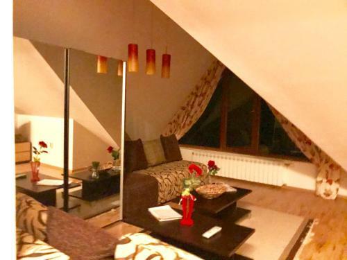 Villa Vila Rila Samokov