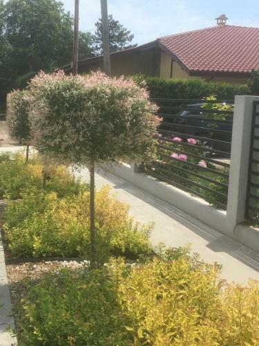 Hostal Karia Apartments