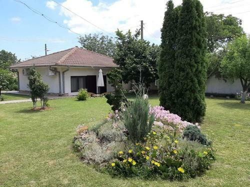 Villa Guesthouse Oasis-shabla