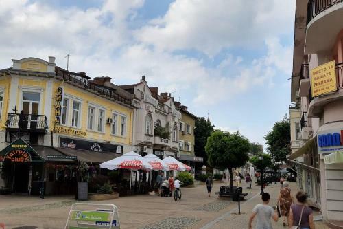 Sky Blue Danube Apartment Ruse