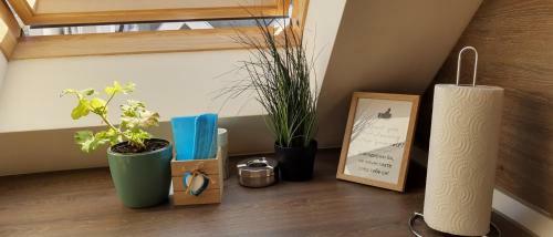 Sky Blue Danube Apartment Ruse