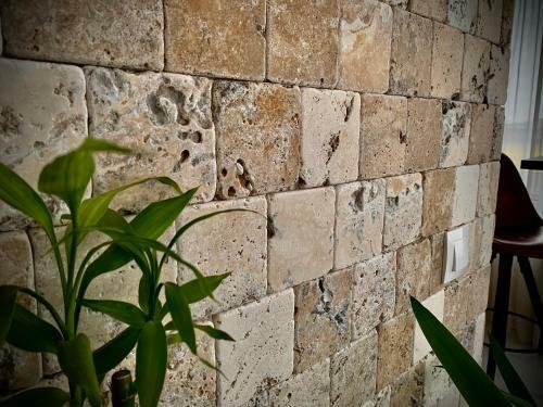 Apartamento Comfort Deluxe Flat