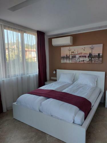 Hostal Stella Guesthouse