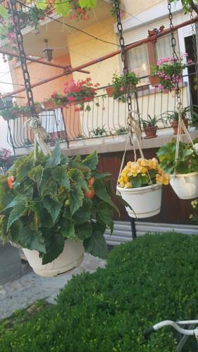 Hostal Guest House Ider