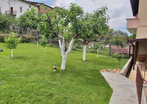 Apartamento ???? ?? ????? ??????