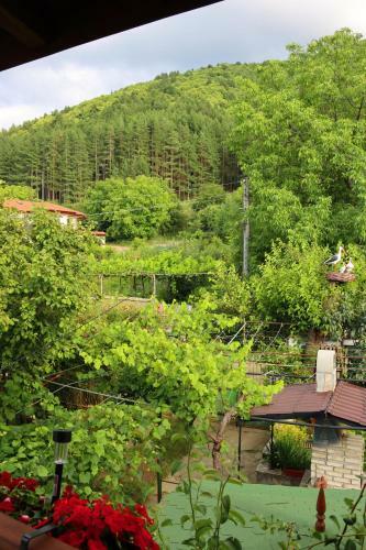 Hostal Green House - ???????????