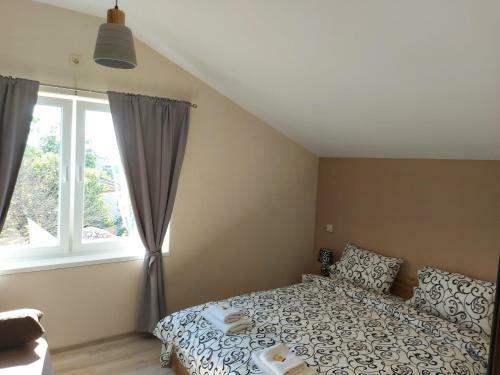 Hostal Bubolina House