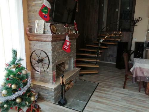 Hostal ???? ?? ????? ??? Guest House Cozy